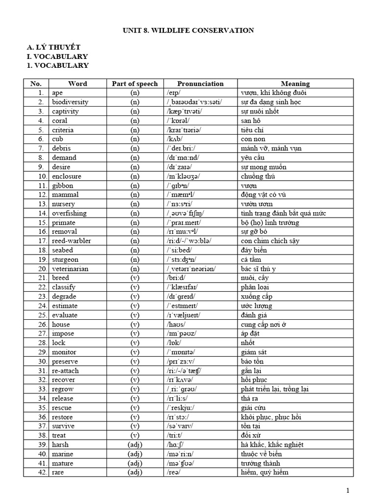 Unit 8 - Vocabulary & Grammar | PDF