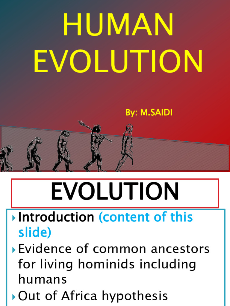 11.evolution by Human Final | PDF | Homo | Pliocene