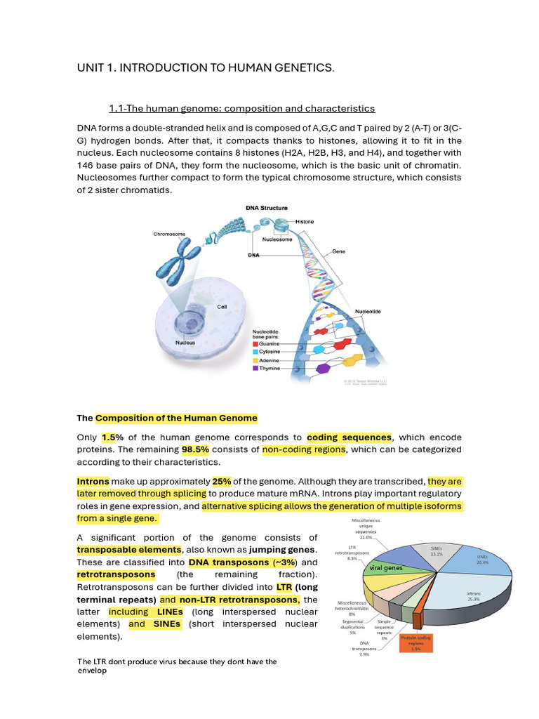 Human Genetics | PDF | Single Nucleotide Polymorphism | Genome