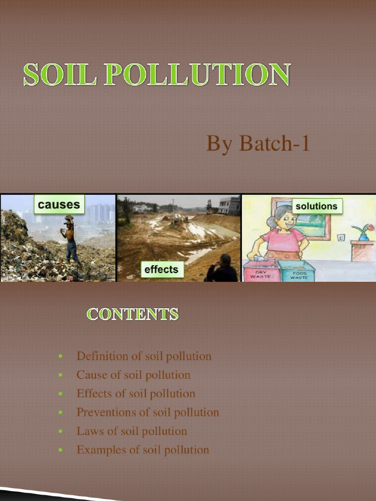 Soil Pollution | PDF