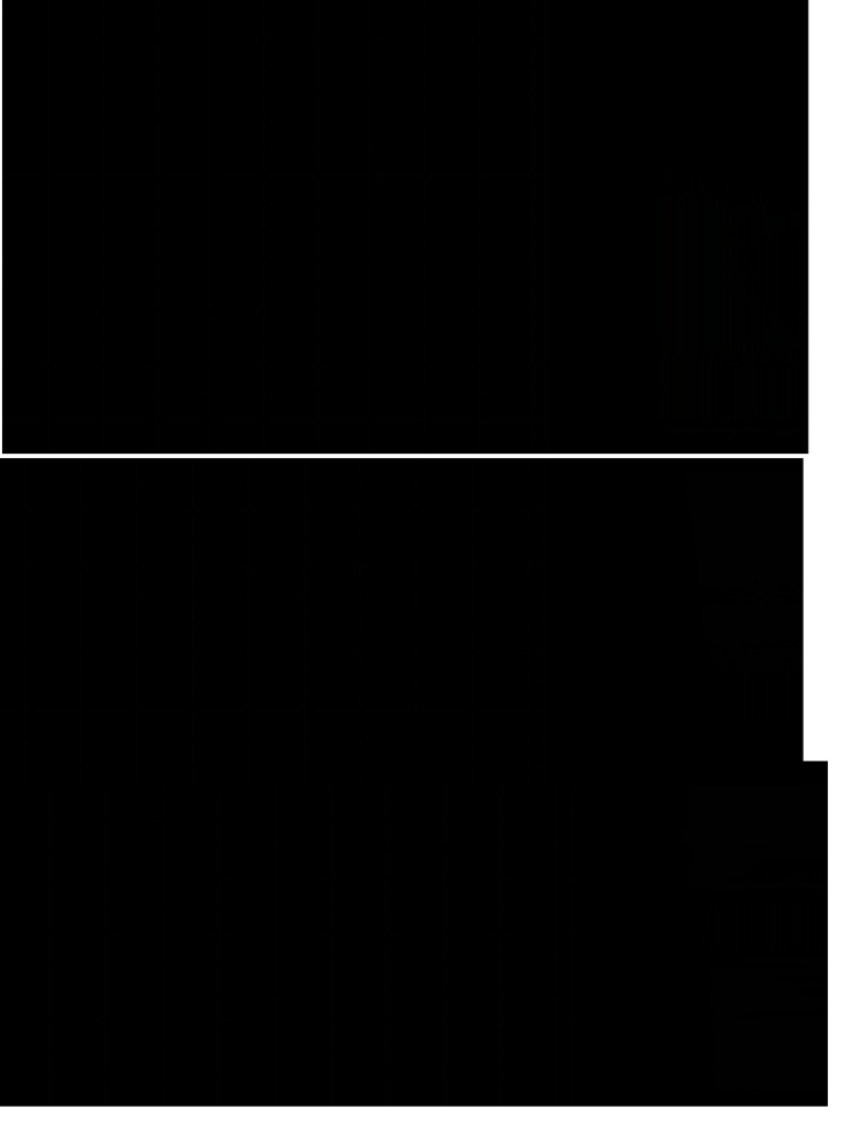 Comic | PDF