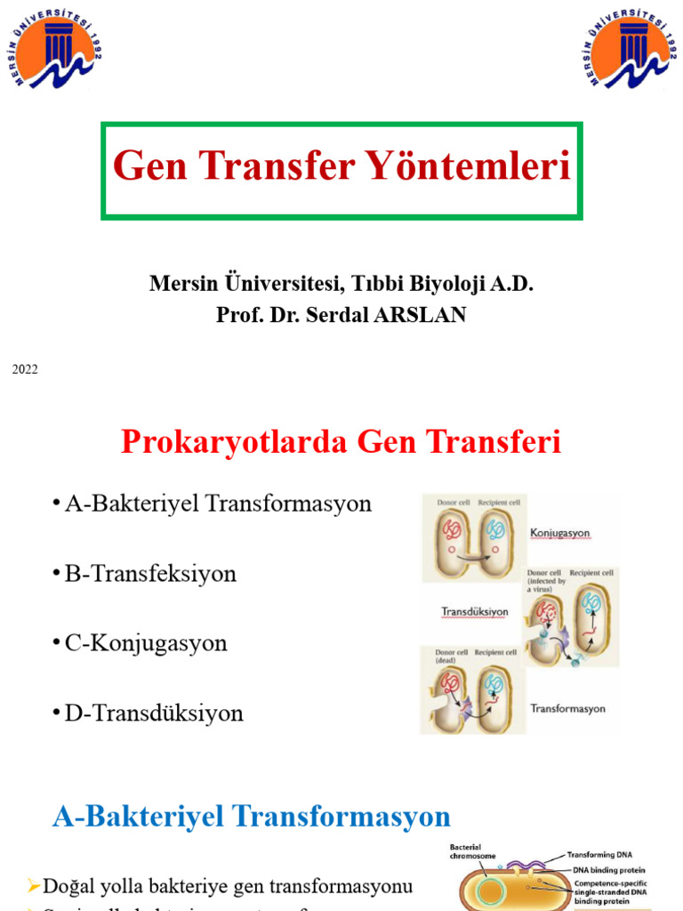 20) Gen Transfer Yöntemleri̇ | PDF