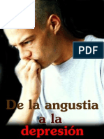 De La Angustia A La Depresion