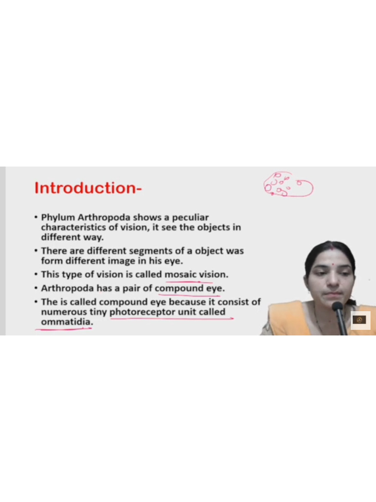 Vision in Arthropods | PDF
