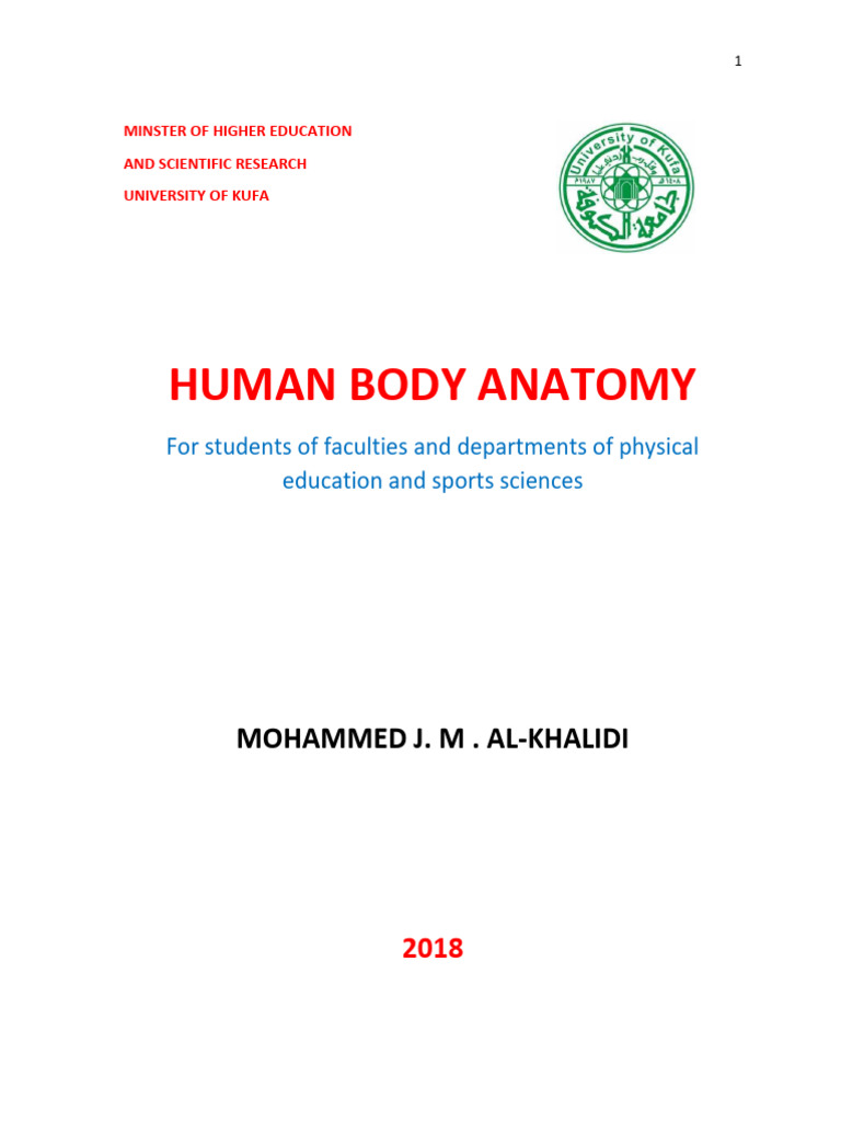 Human Anatomy | PDF | Nervous System | Skin
