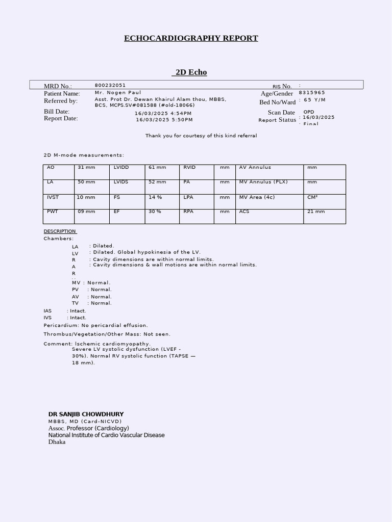 Echocardiography Report | PDF