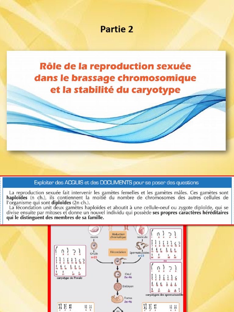 Guide at - PPT - 2bac SP-SVT Biof - Reproduction Sexuée 1 | PDF ...