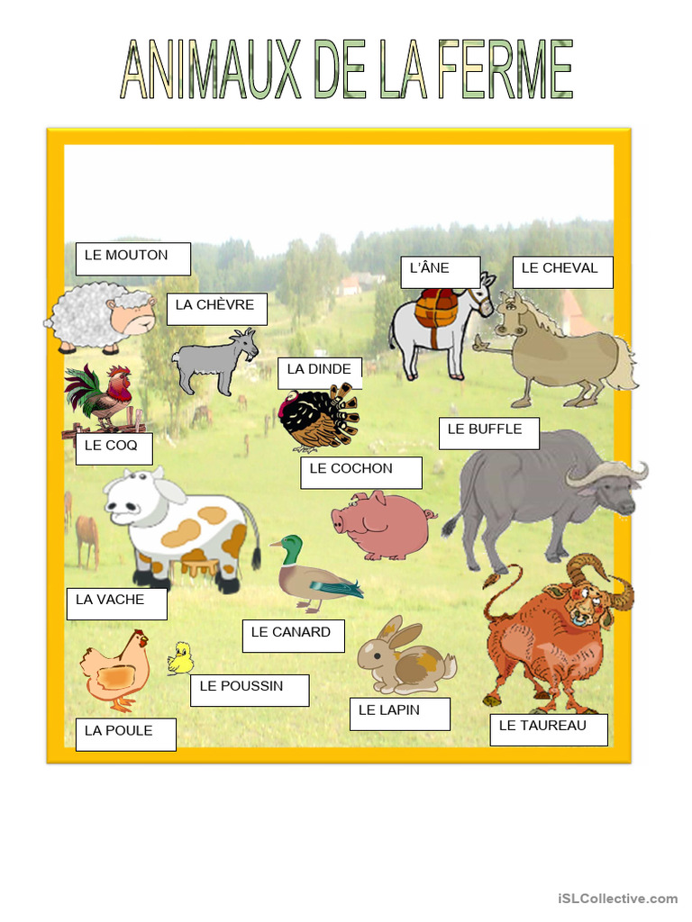 Affiches - Animaux de La Ferme | PDF