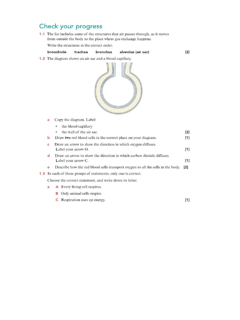 Check Your Progress 7 | PDF
