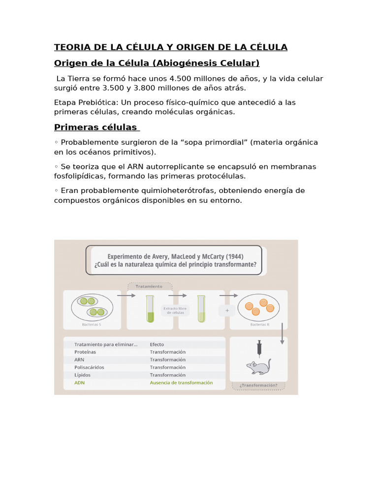 Cepeda | PDF