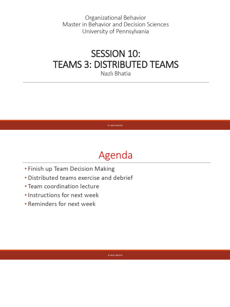 OB - Teams 3 Distributed Teams - 2025 | PDF