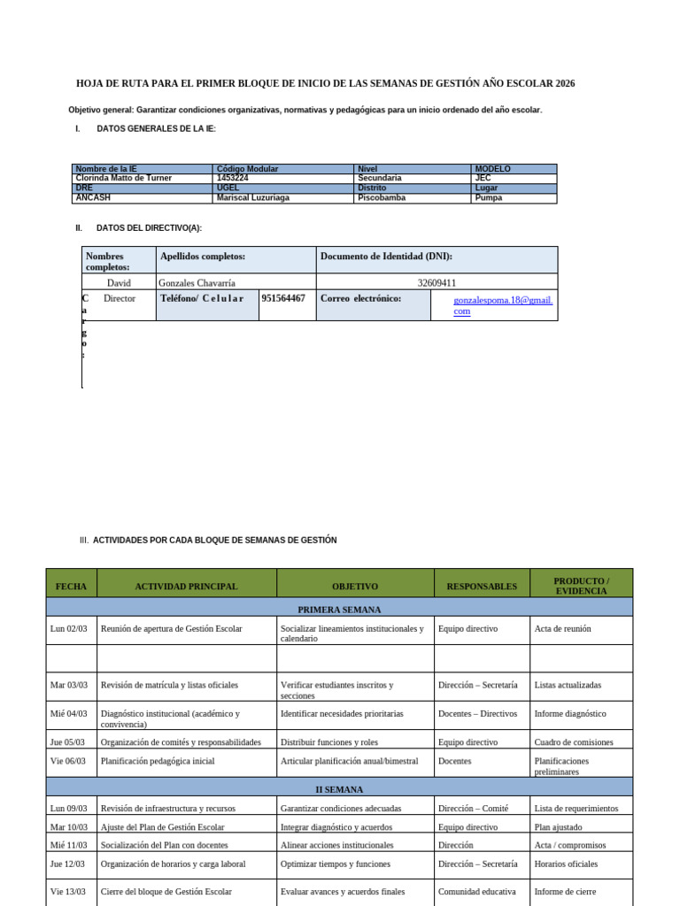 Hoja de Ruta 2026 Modelo | PDF