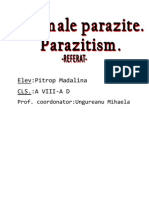 Animale Parazite. Parazitism