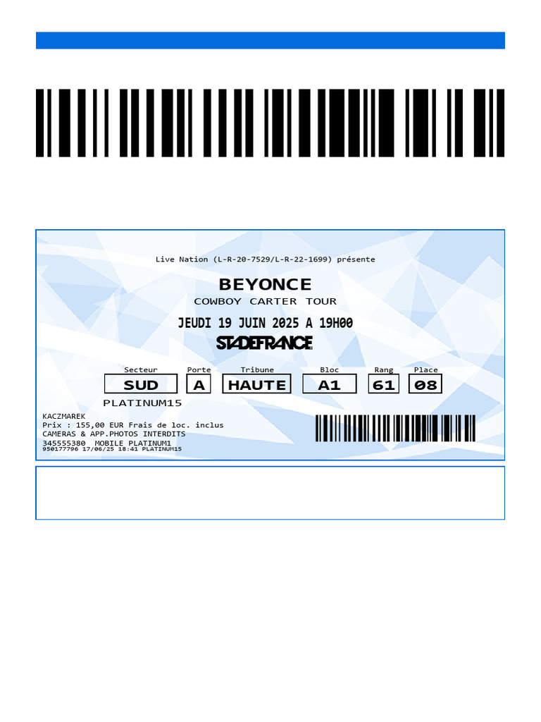 Beyoncé | PDF