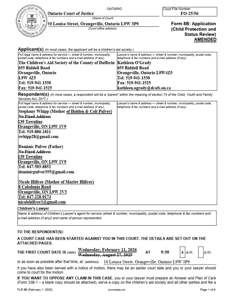 15 2026-02-10 Amended Protection Application | PDF | Child Abuse ...