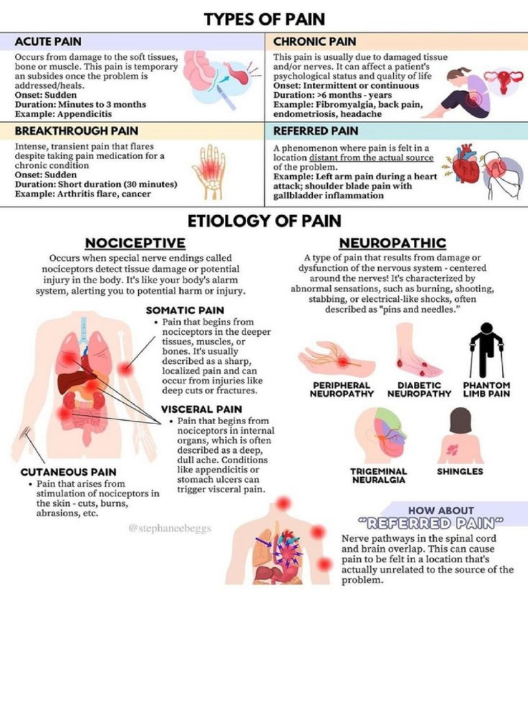 Types of Pain | PDF