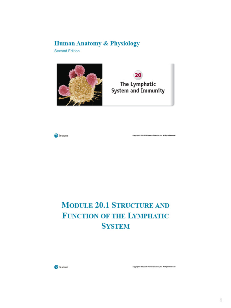 CH 20 | PDF | Lymphatic System | T Helper Cell
