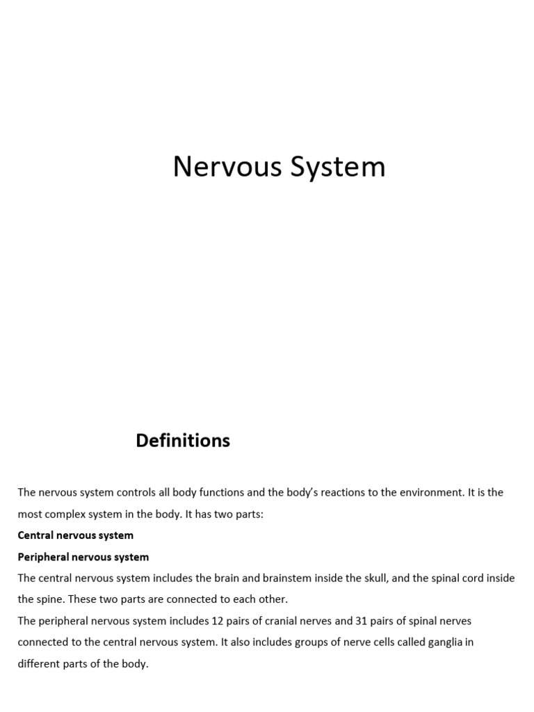 Lesson 13 | PDF | Spinal Cord | Central Nervous System