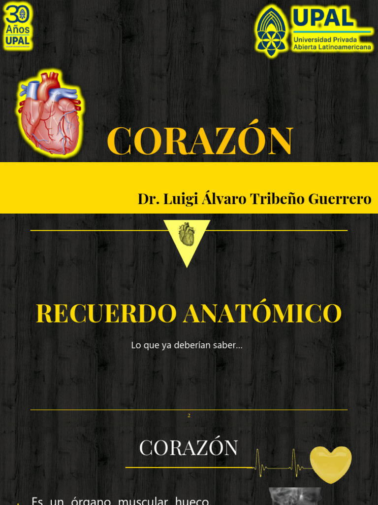 Corazón | PDF | Corazón | Ventrículo (corazón)