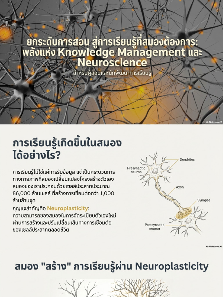 Architecting Brain Friendly Learning | PDF