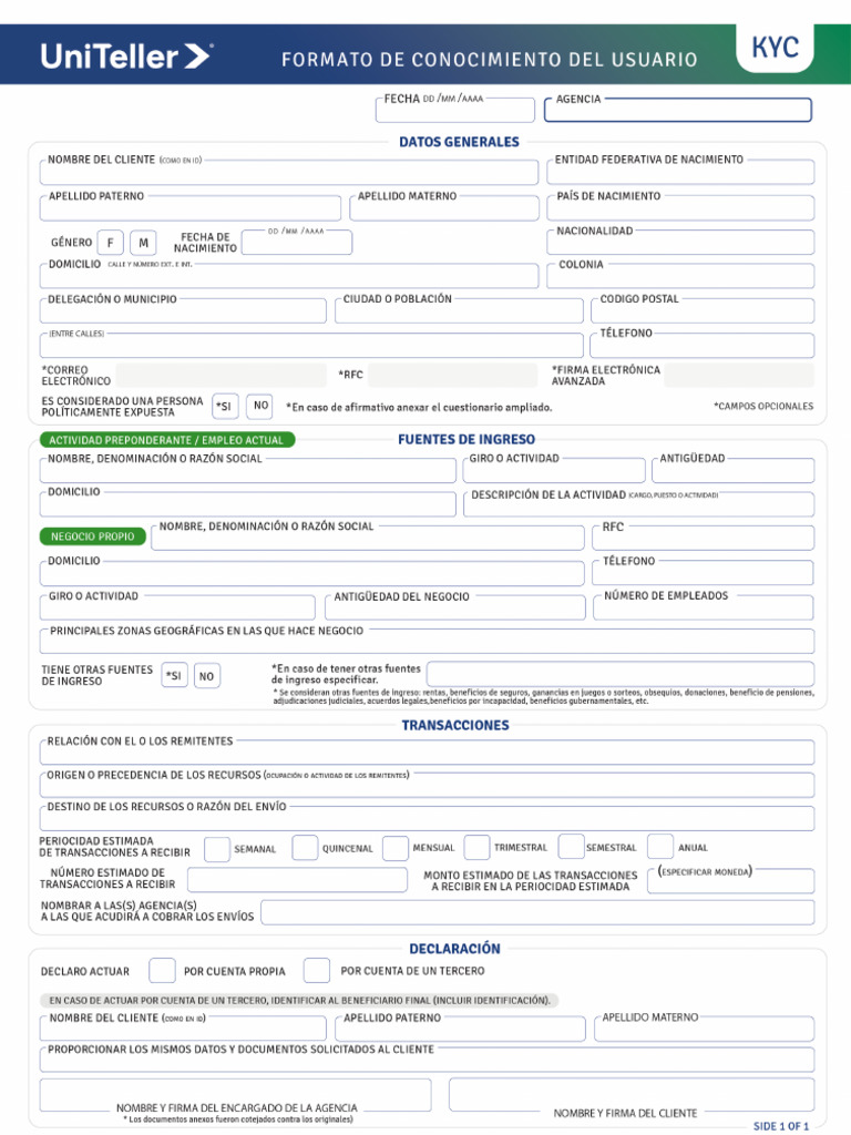 Formato - Kyc - 2 | PDF