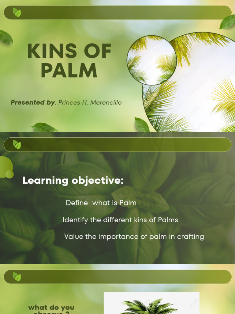 Kinds of Palm Tree | PDF