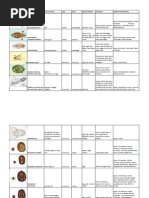 IDEXX CBC Chem Explained | PDF | Renal Function | Creatinine