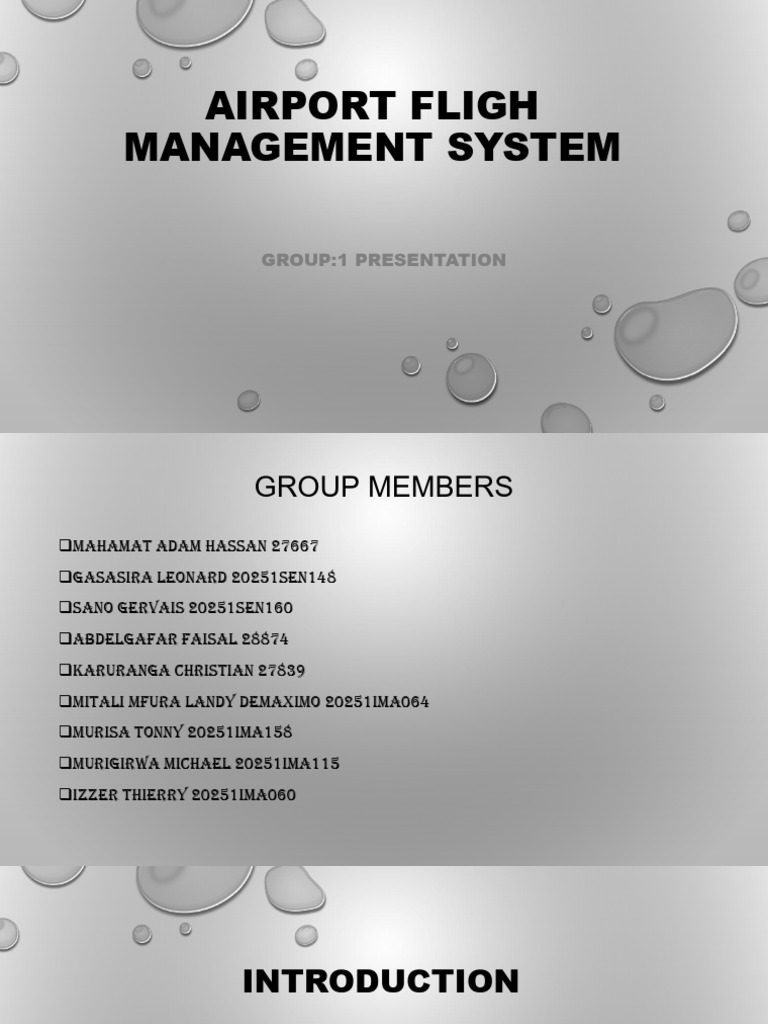 Airport Fligh Management System | PDF | Data Model | Information Retrieval