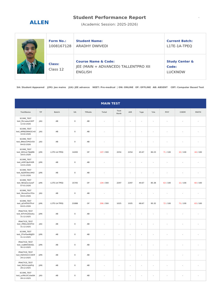 Performance Report | PDF | Schools | Educational Stages