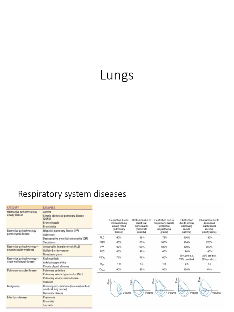 Lungs Part 1 | PDF | Respiratory Diseases | Chronic Obstructive ...