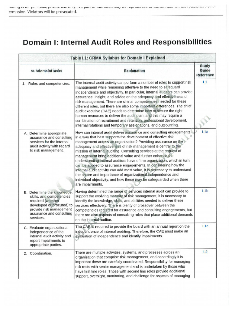 CRMA - Internal Audit Roles and Responsibilities | PDF