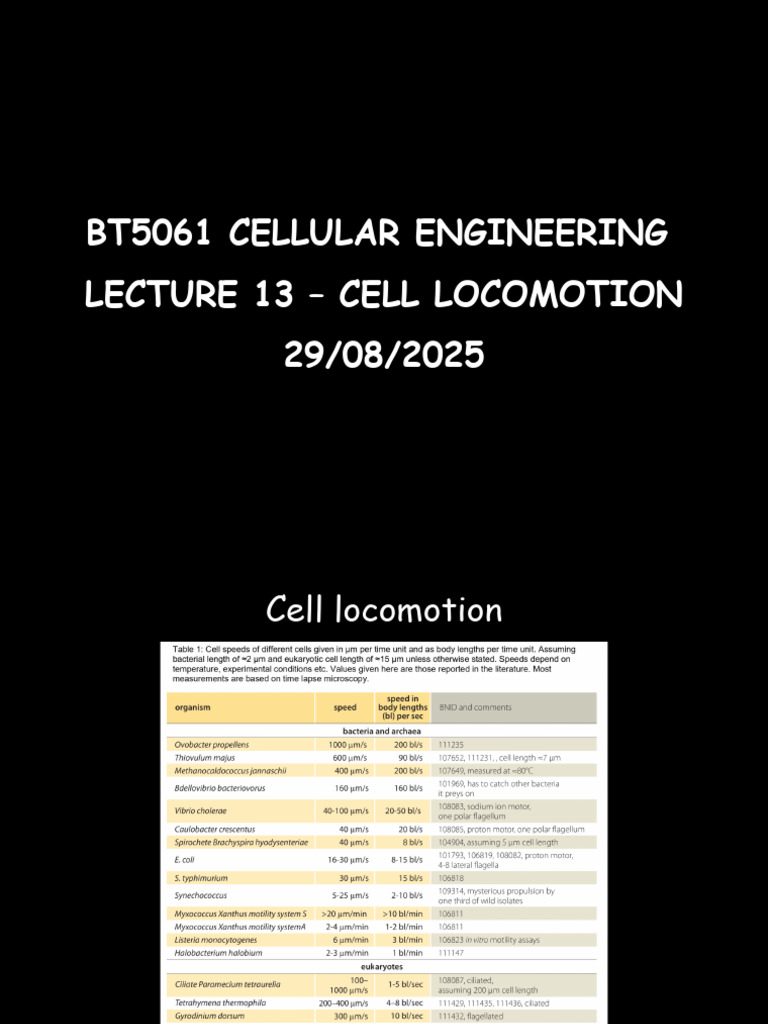Lecture 13 | PDF