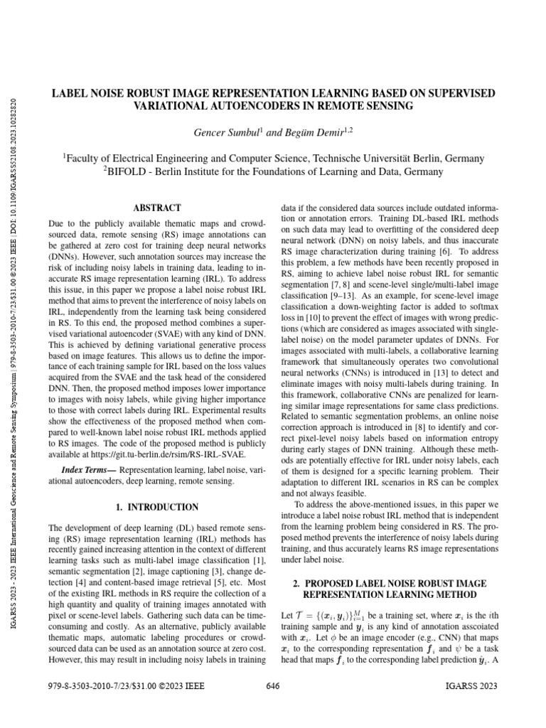 Label Noise Robust Image Representation Learning Based On Supervised ...