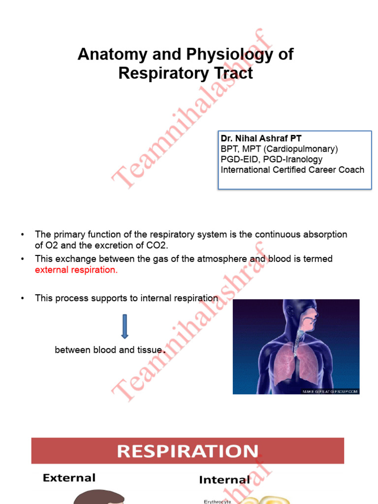 MN Batch - Anatomy and Physiology of Respiratory Tract by Nihal Sir ...