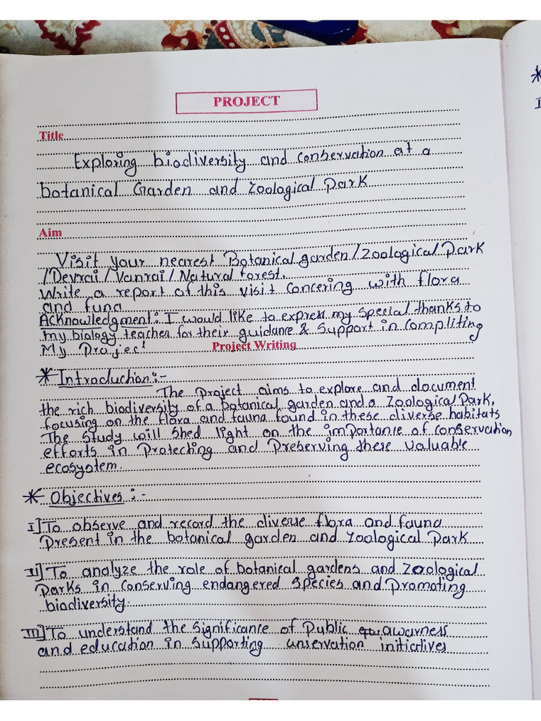 Bio Project | PDF