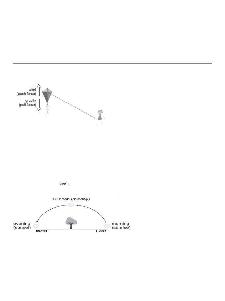 IBT Practice Questions - Grade 4 EVS | PDF