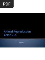 Animal Reproduction For Ez