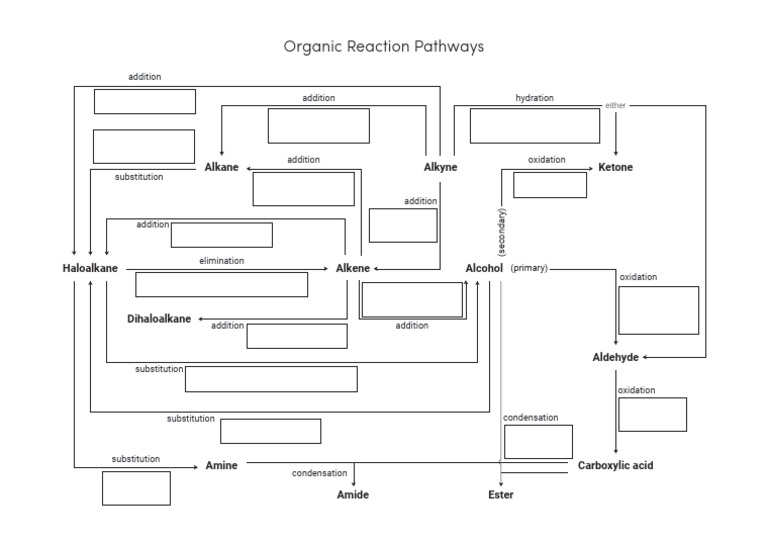 Reaction Pathways Worksheet (HSC) | PDF | Functional Group | Carbon ...