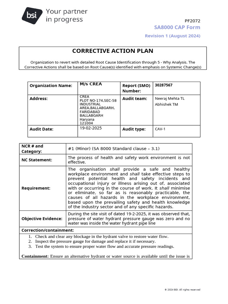 Surv Audit Capar | PDF | Regulatory Compliance | Business