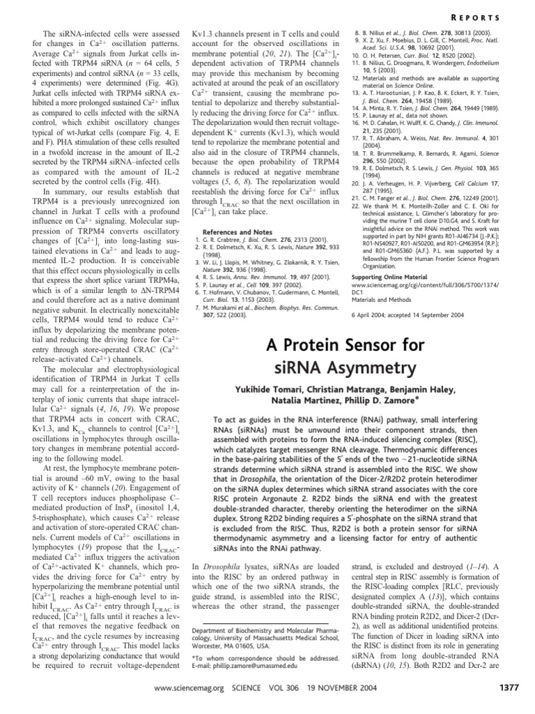 A Protein Sensor For siRNA Asymmetry | PDF | Rna Interference | Small ...
