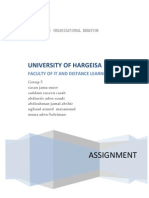 Assignment: University of Hargeisa