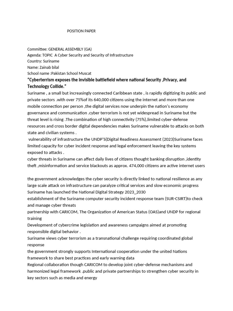 Position Paper | PDF | Computer Security | Security