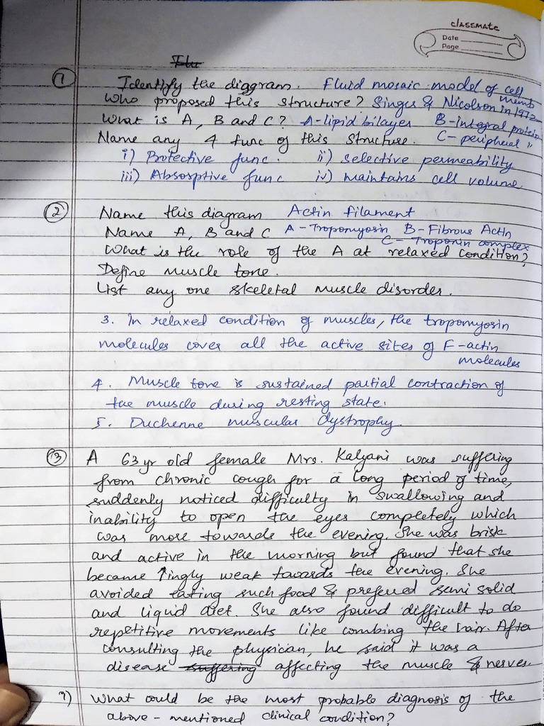 Physiology Charts | PDF