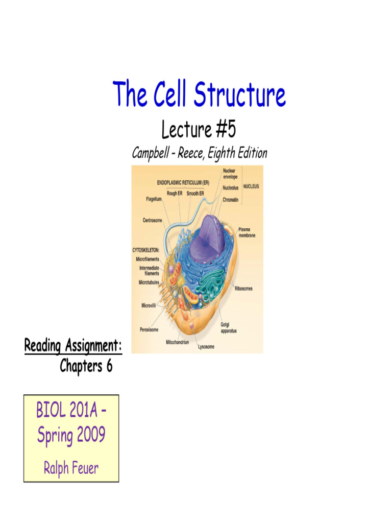 Lecture5 CellStructure | PDF | Cell (Biology) | Endoplasmic Reticulum