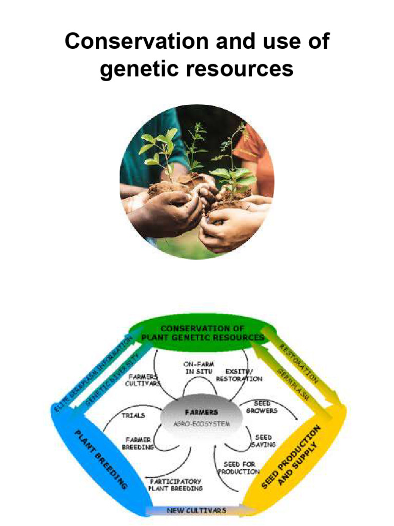 02 - Conservation and Gene Banks | PDF | Plant Breeding | Biology