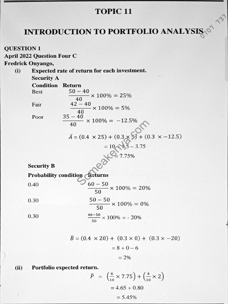 Portfolio Analysis Solutions | PDF