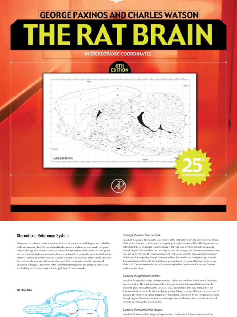 The Rat Brain in Stereotaxic Coordinates - 6th - 65pages | PDF ...