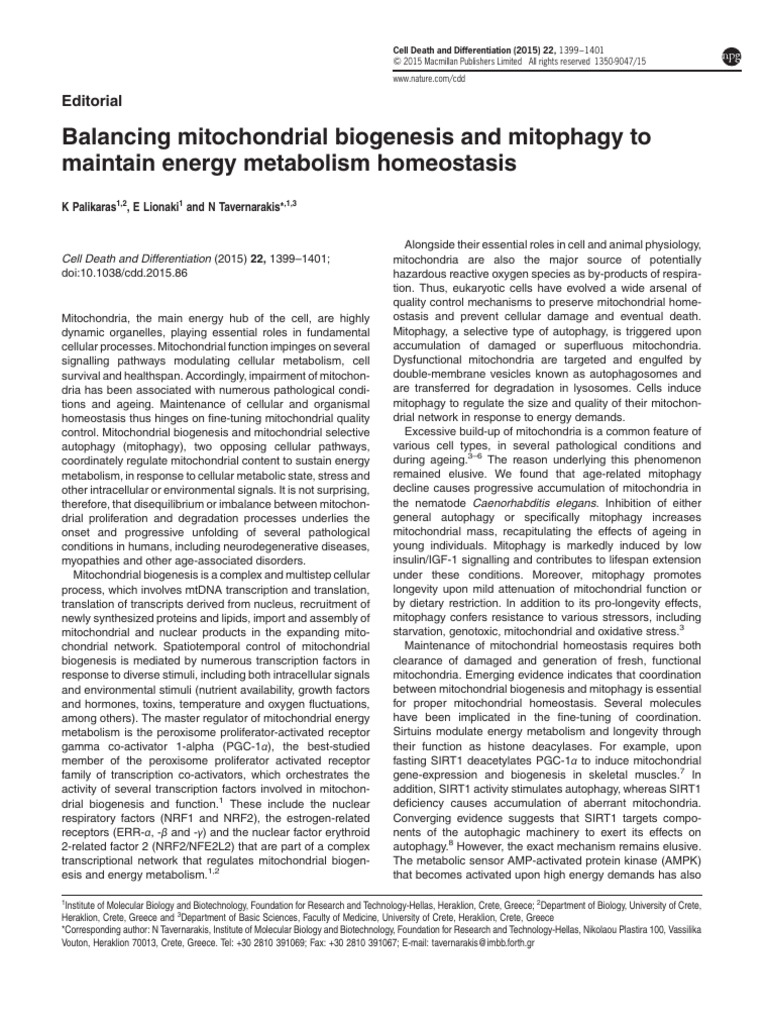 Balancing Mitochondrial Biogenesis and Mitophagy To Maintain Energy ...