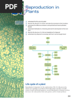 Flowering Plant Reproduction Diagrams | PDF