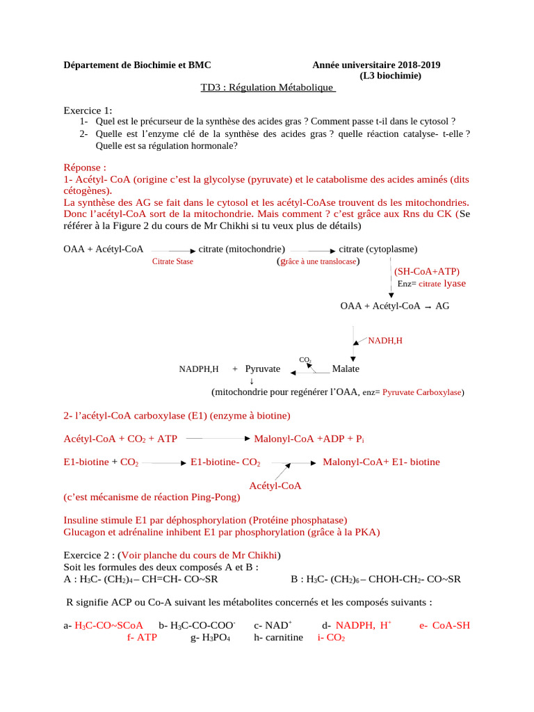 Correction - TD3 Régulation Métabolique | PDF | Métabolisme | Biologie ...